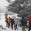 Siete Picos
